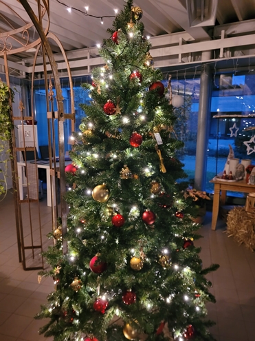 Weihnachtsblumen Hannover